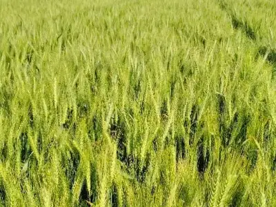 જમીન લેવા તેમજ દેવા માટે જમીન લેવા તેમજ દેવા માટે