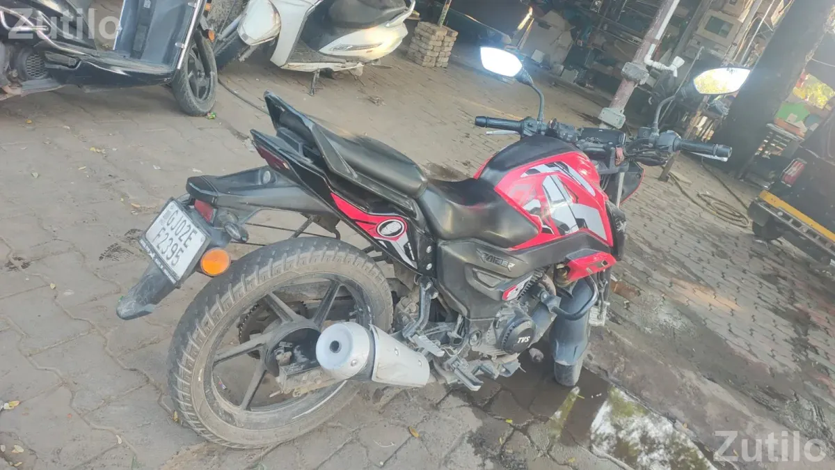 TVS rider - બાઇક્સ - માંસા - Image 3
