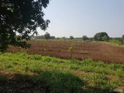 જમીન વેચવાની છે જમીન વેચવાની છે