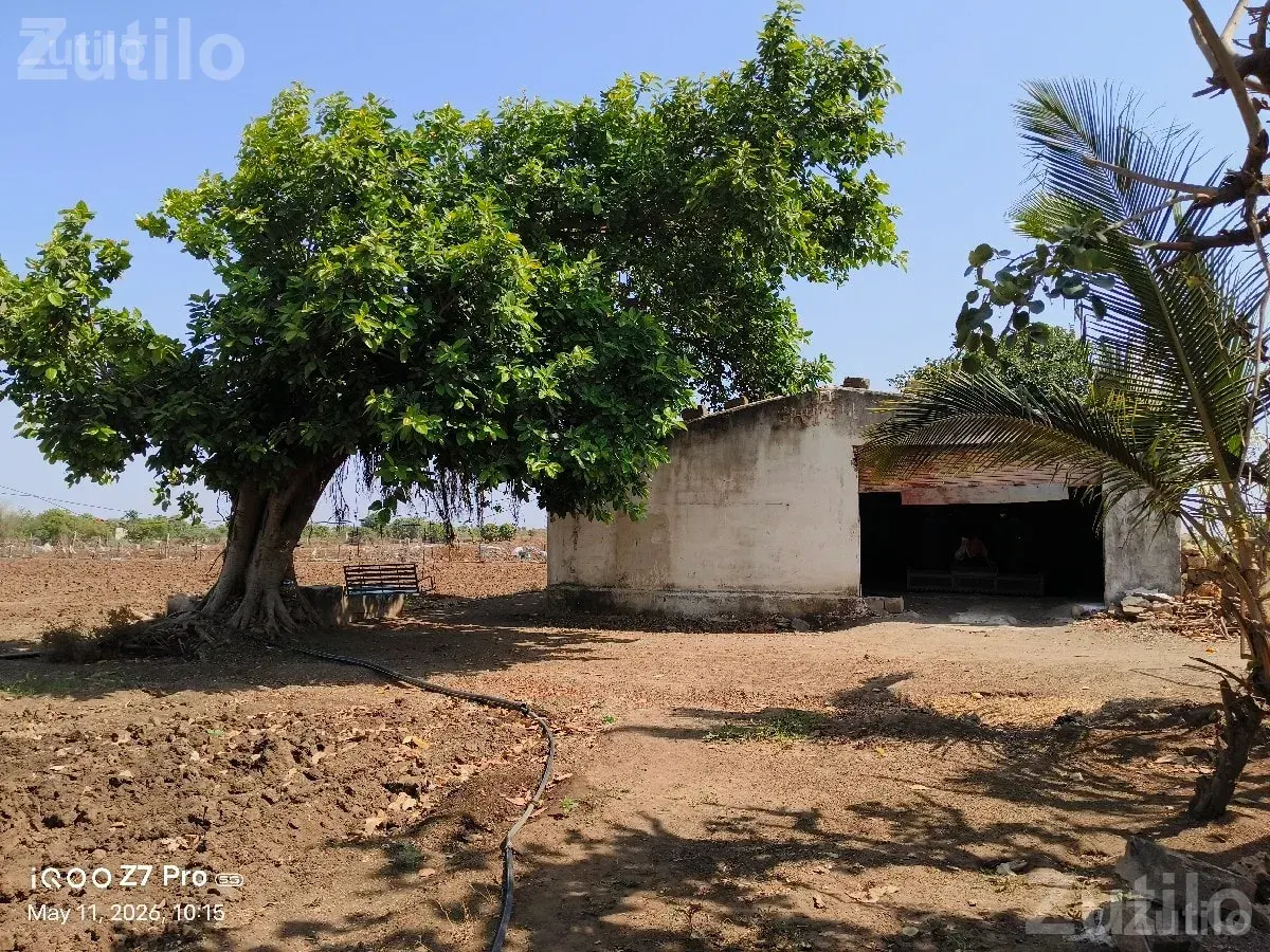 Agricultural Land for Sale with Well and Bore - Land & Plots - Junagadh City - Image 3