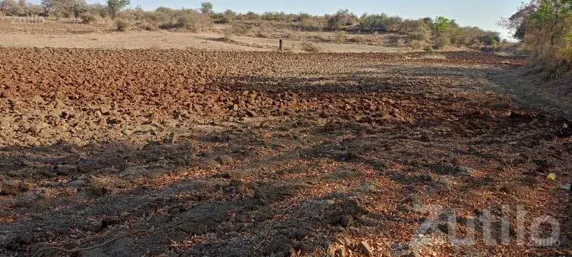 2.5 Vigha Agricultural Land for Sale - Land & Plots - Savarkundla - Image 5