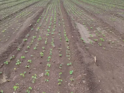Fertile Farm Land with Water Facility Fertile Farm Land with Water Facility