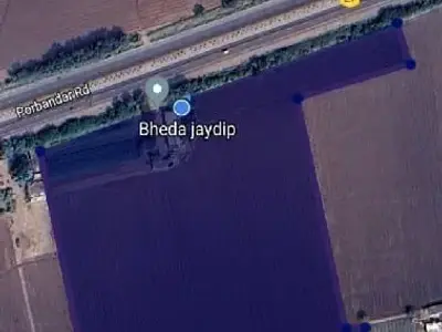 15 Vigha Highway Touch Agriculture Land