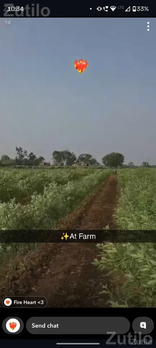 15 Bigha Agricultural Land Near Devaliya Gir - Land & Plots - Junagadh City - Image 1