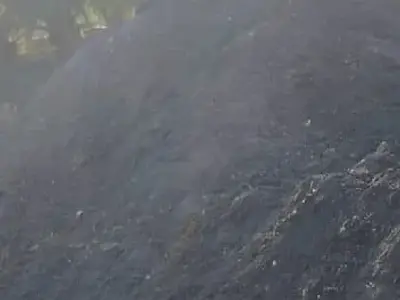 Bulk Farm Ash / Soil for Agriculture Use Bulk Farm Ash / Soil for Agriculture Use