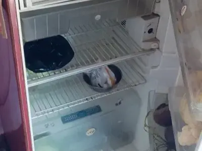 Single Door Refrigerator