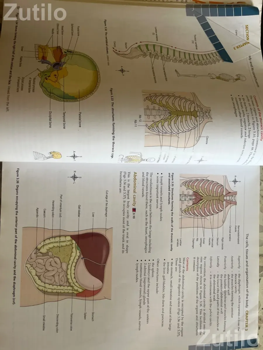 Ross and Willson Anatomy and physiology in health and illness 12 edition - કોલેજ પુસ્તકો - સુરત શહેર - Image 2