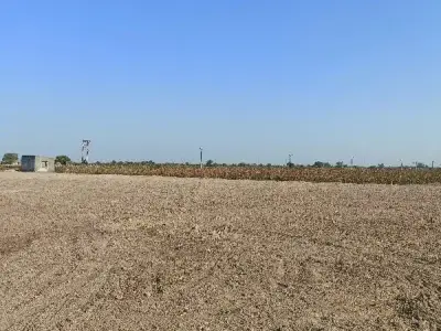 14.5 Vigha Open Agricultural Land 14.5 Vigha Open Agricultural Land