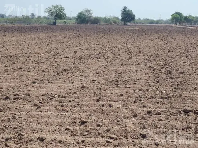 40 Vigha Agricultural Land with Farmhouse - Land & Plots - Jamjodhpur - Image 3
