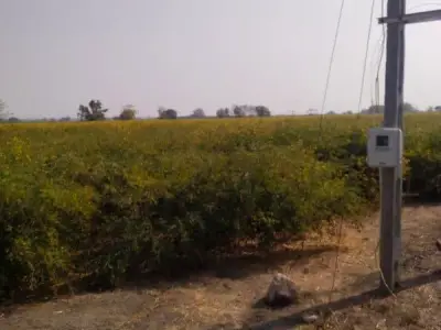 Roadside Agricultural Land with Power Roadside Agricultural Land with Power