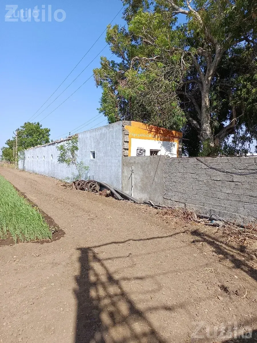 4 Bigha Open Land for Rent with Labour Quarter - Land & Plots - Tankara - Image 3