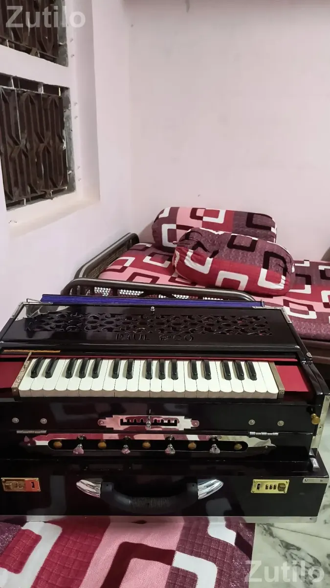 PAUL& ECO - Musical Instruments - Rajkot City - Image 2