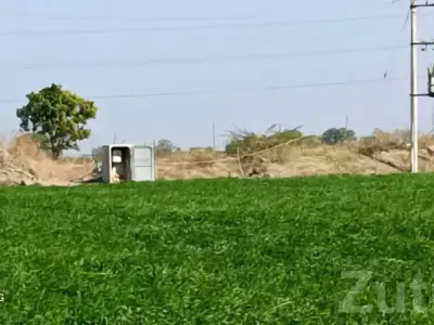 Green Agricultural Land Plot for Sale Green Agricultural Land Plot for Sale