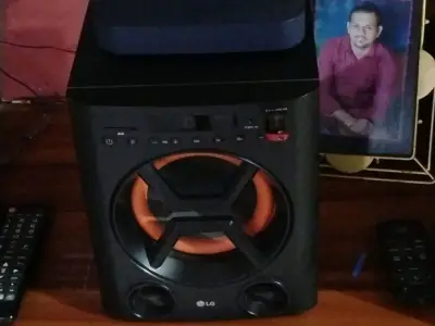 LG Music System Speaker Unit LG Music System Speaker Unit