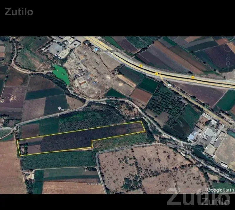 16.5 Vigha Fertile Farm Land Talaja - જમીન અને પ્લોટ - તાળાજા - Image 3