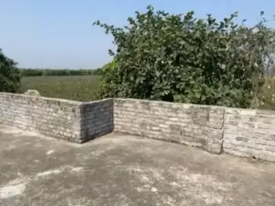 5.5 Bigha Open Land in Vartej, Bhavnagar 5.5 Bigha Open Land in Vartej, Bhavnagar
