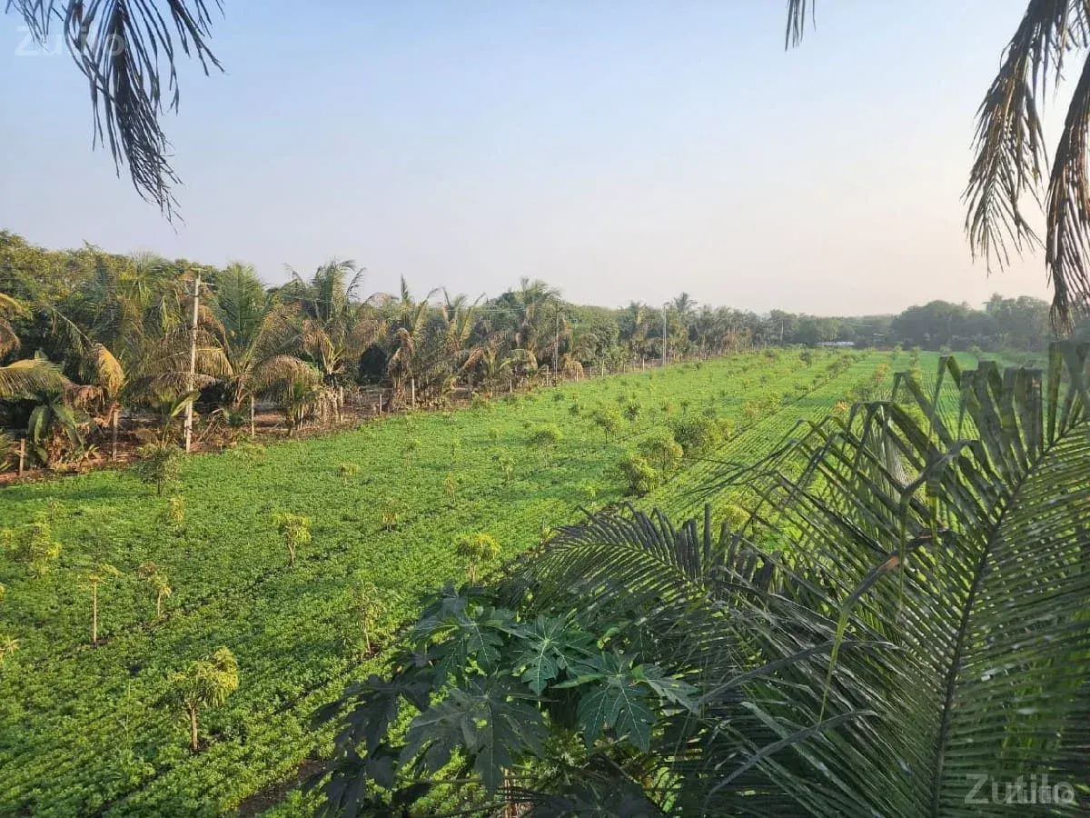 જમીન વેચવાની છે 
19 વીઘા જામીન 
વિધ - Land & Plots - Mendarda - Image 3
