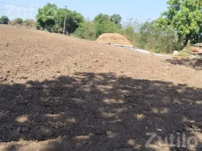 40 Vigha Agricultural Land with Farmhouse 40 Vigha Agricultural Land with Farmhouse