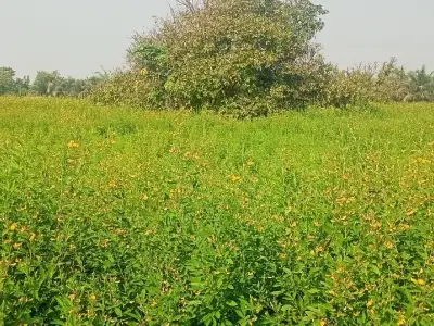 જમીન જમીન