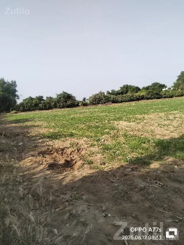 Becharaji Sankhalpur Road Touch Farmland Plot - Land & Plots - Vadodara City - Image 1