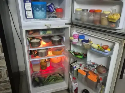 Samsung double door fridge