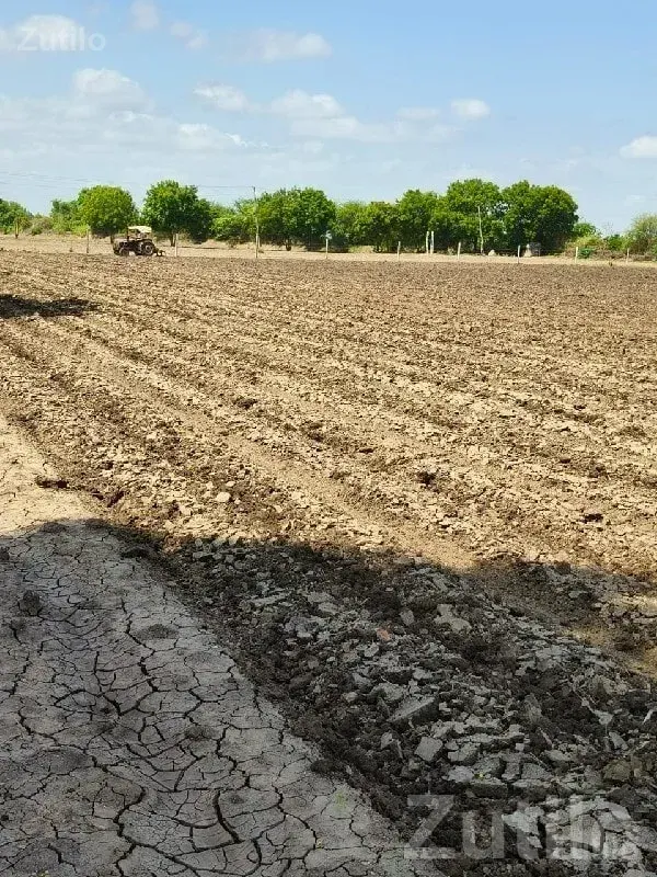 Bhánvad Road Fertile Agriculture Plot - જમીન અને પ્લોટ - જામજોધપુર - Image 1