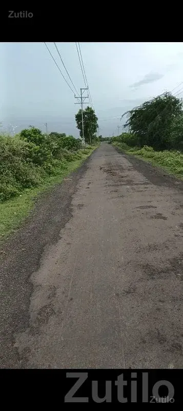 13 Vigha Fertile Agriculture Land Babra - જમીન અને પ્લોટ - બાબરા - Image 2