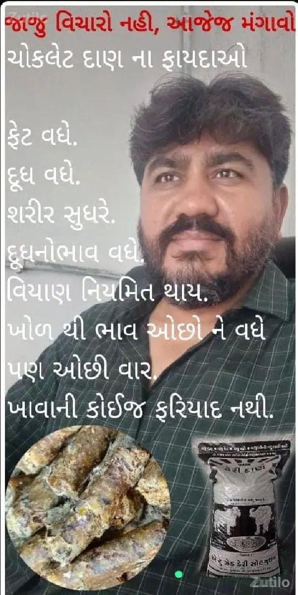 ગાયો ને ભેંસો માટેની ચોકલેટ - Cars - Dhari - Image 5