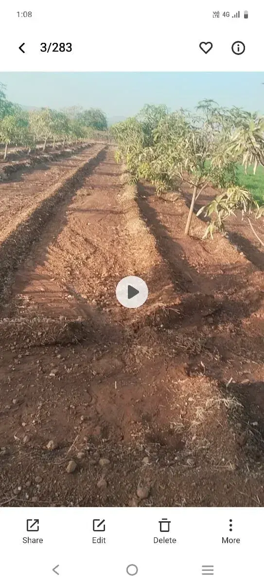 બગીચા વાળી જમીન વેચવા ની છે - Land & Plots - Bodeli - Image 3