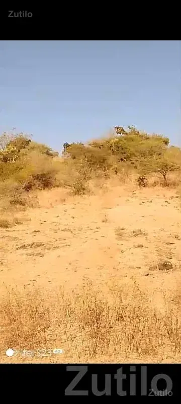 28 Vigha Open Land in Junisar, Jamjodhpur - જમીન અને પ્લોટ - જામજોધપુર - Image 3