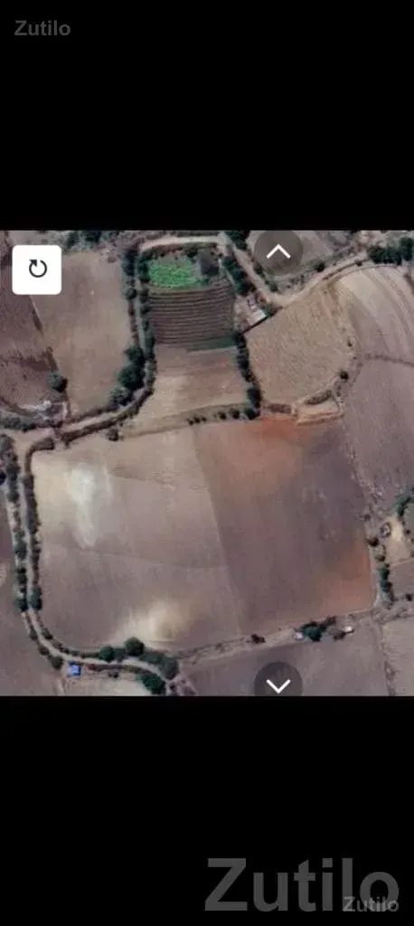 4 Acre Agricultural Land with House for Sale - જમીન અને પ્લોટ - વાંકાનેર - Image 2