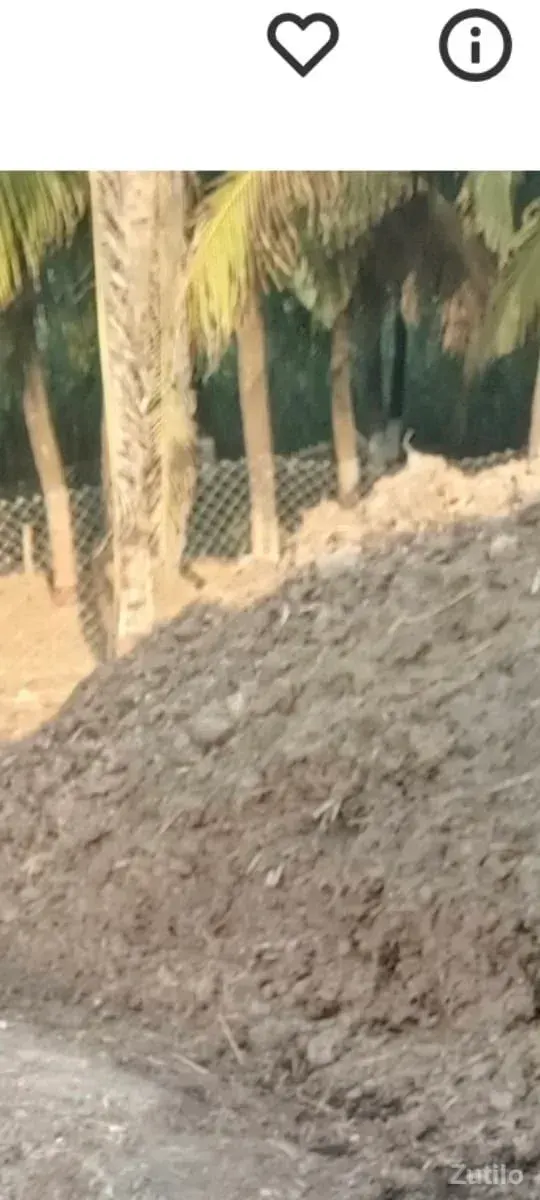 khatr vesvanuse - Land & Plots - Somnath - Image 2