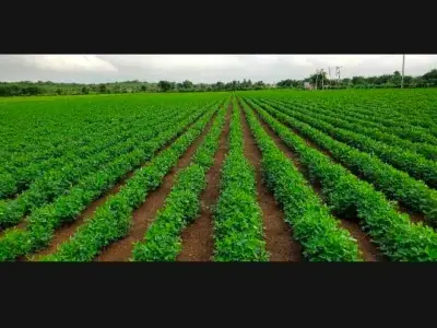 ભાણવડ તાલુકો જીલ્લો દેવભૂમિ દ્વારકા ભાણવડ તાલુકો જીલ્લો દેવભૂમિ દ્વારકા