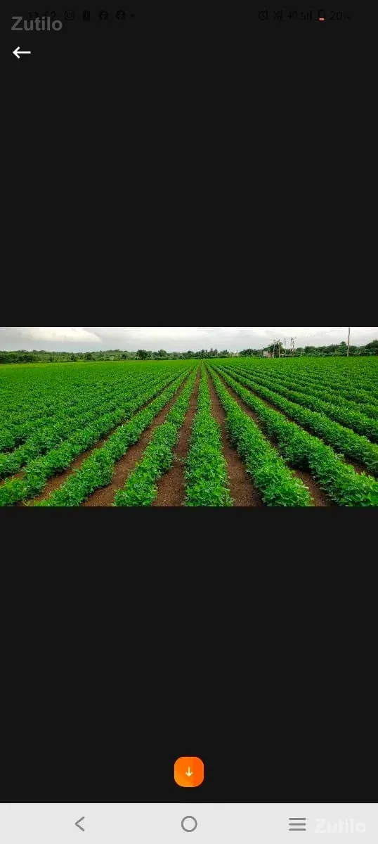 ભાણવડ તાલુકો જીલ્લો દેવભૂમિ દ્વારકા - Land & Plots - Bhanvad - Image 1