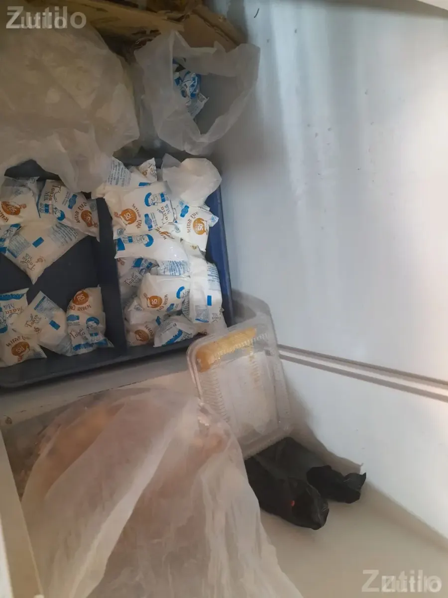 Blue Star Deep Freezer for Ice Cream - Refrigerators - Jasdan - Image 3
