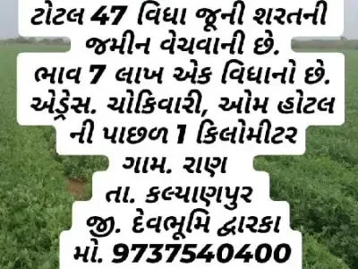 Fertile Bauxite Farmland Plot Kalyanpur Fertile Bauxite Farmland Plot Kalyanpur