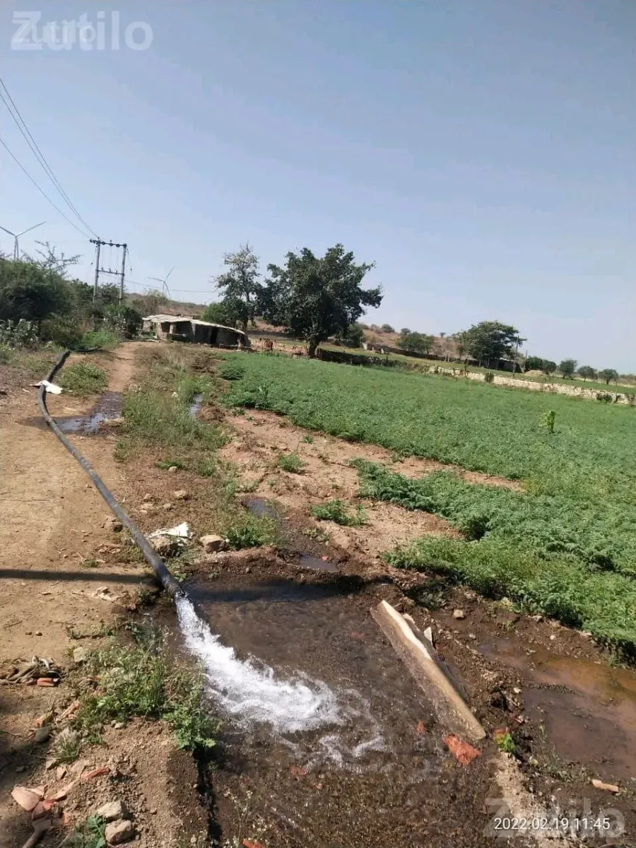 Agricultural Land for Sale 23.29 Vigha - જમીન અને પ્લોટ - પોરબંદર - Image 2