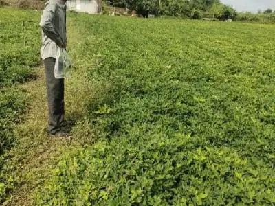 જમીન વેચવાની છે જમીન વેચવાની છે