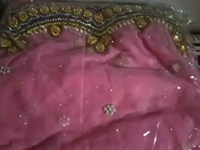Pink Embroidered Saree with Decorative Border Pink Embroidered Saree with Decorative Border