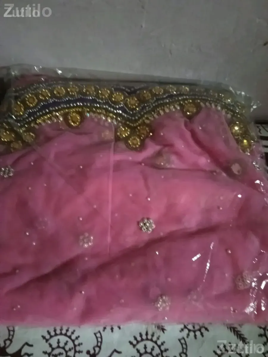 Pink Embroidered Saree with Decorative Border - Women's Wear - Vadodara City - Image 1