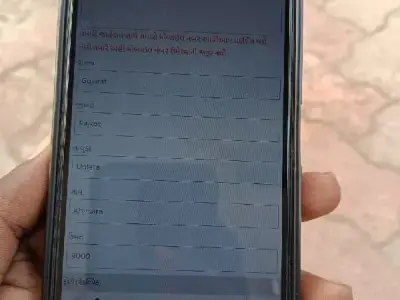 Vivo Y17 smartphone for sale