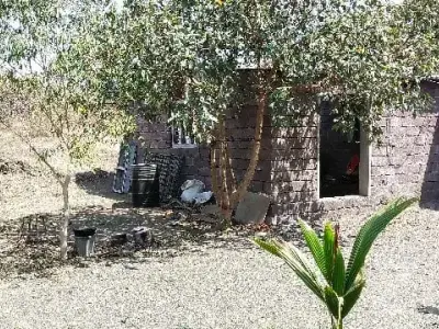Gausala / Stable Land with Shed Gausala / Stable Land with Shed