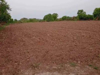 4 Vigha Agricultural Land for Sale