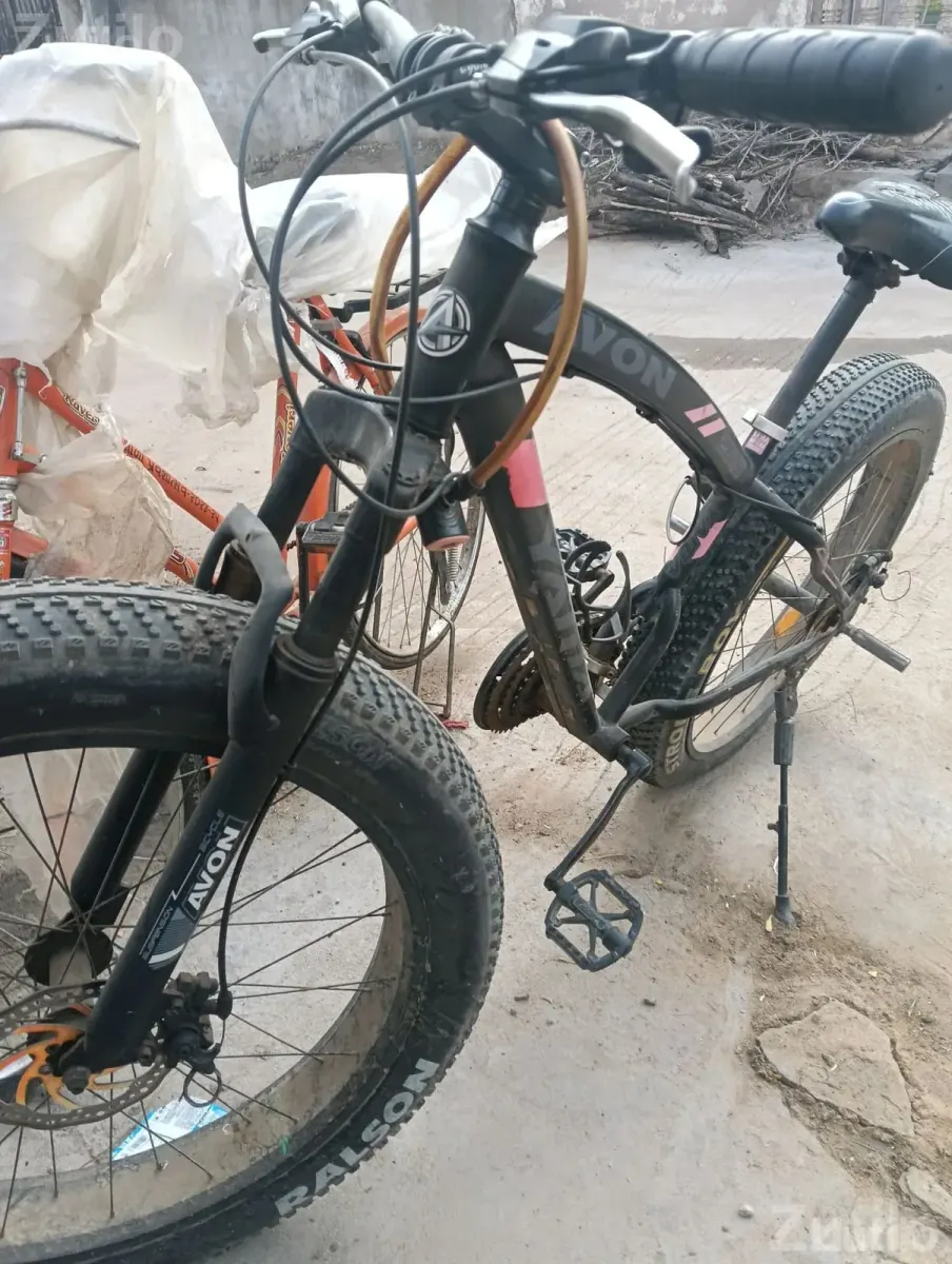 Black and Red Fat Tyre Adult Bicycle - પુખ્ત વયના માટે સાયકલ - પાલનપુર - Image 2