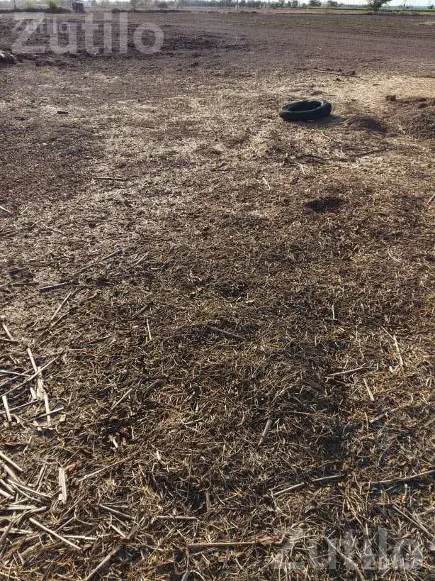Agricultural Land for Sale Near Bhogat - Land & Plots - Kalyanpur - Image 2