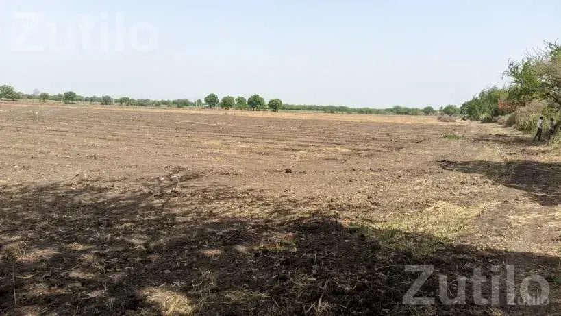Agricultural Land 8 Vigha 5 Guntha with Well - જમીન અને પ્લોટ - અમરેલી - Image 3