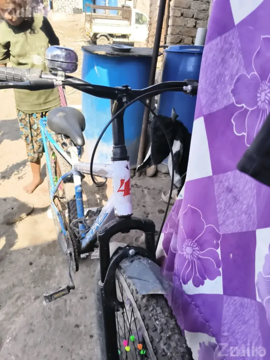 Super Gold Adult Bicycle - પુખ્ત વયના માટે સાયકલ - જામજોધપુર - Image 3