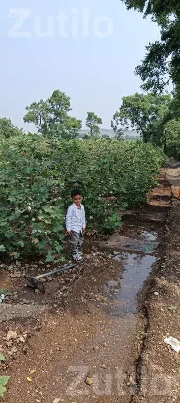 12.30 Vigha Road Touch Agricultural Land - જમીન અને પ્લોટ - રાજકોટ શહેર - Image 2