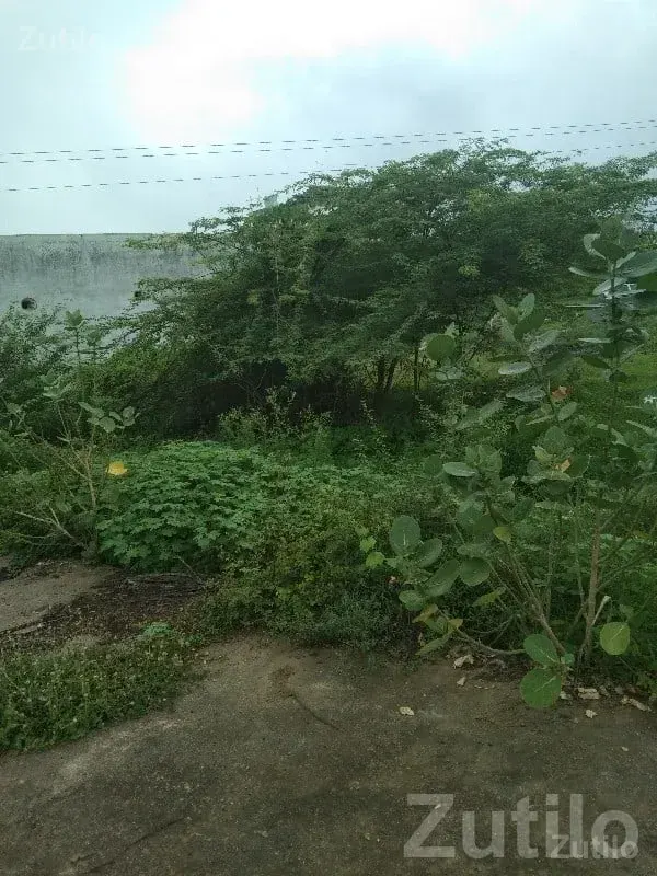 Dadhichi Township Residential Plot 107 Var - જમીન અને પ્લોટ - ભેસાણ - Image 3