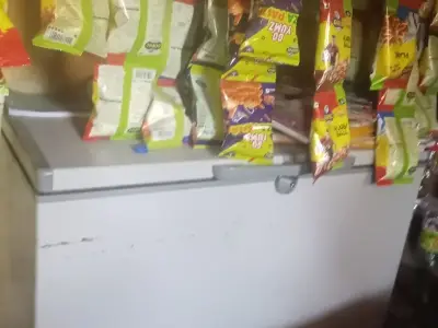 Commercial Deep Freezer for Shop Use